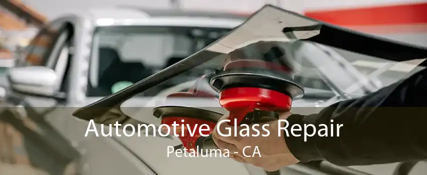 Automotive Glass Repair Petaluma - CA