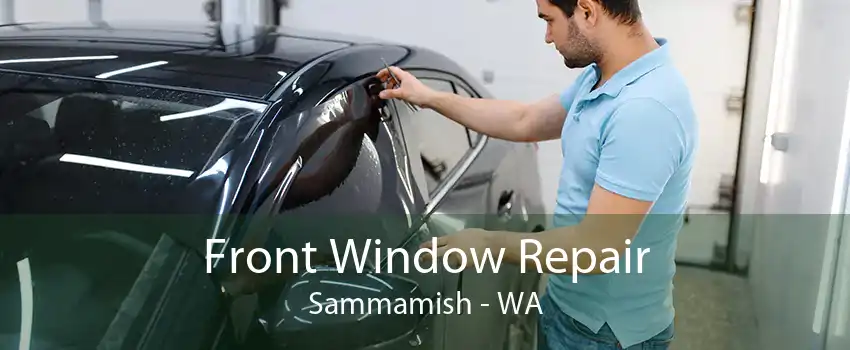 Front Window Repair Sammamish - WA