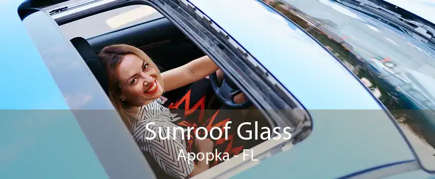 Sunroof Glass Apopka - FL