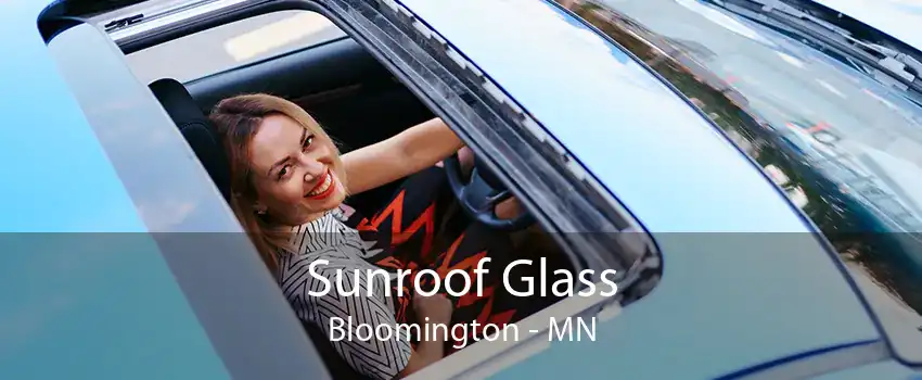 Sunroof Glass Bloomington - MN