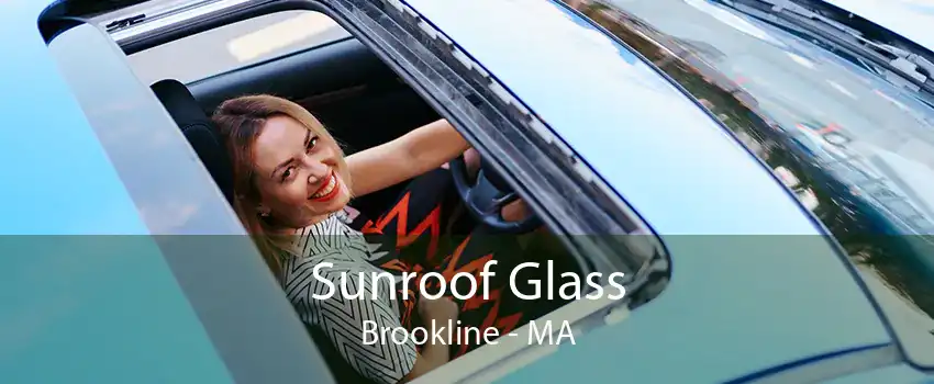 Sunroof Glass Brookline - MA