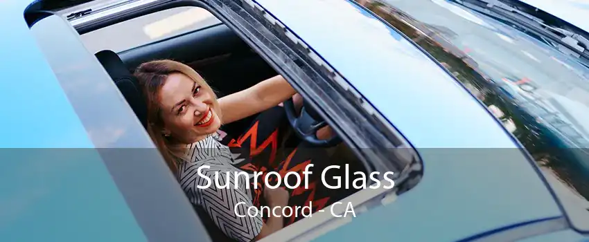Sunroof Glass Concord - CA