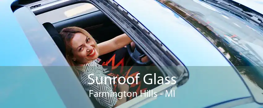 Sunroof Glass Farmington Hills - MI