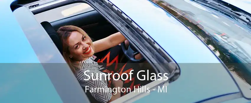 Sunroof Glass Farmington Hills - MI