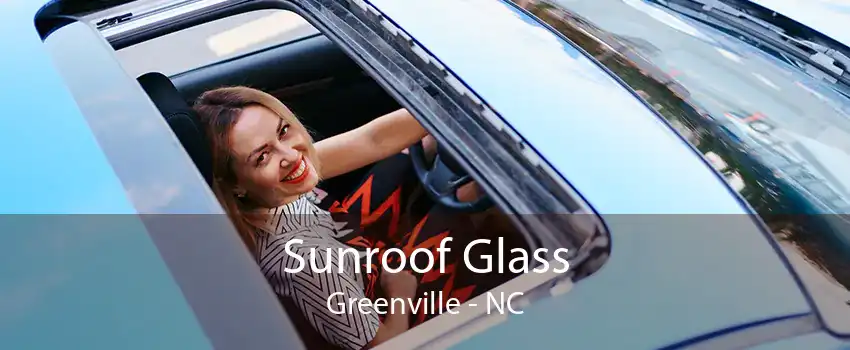 Sunroof Glass Greenville - NC