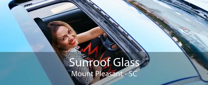 Sunroof Glass Mount Pleasant - SC