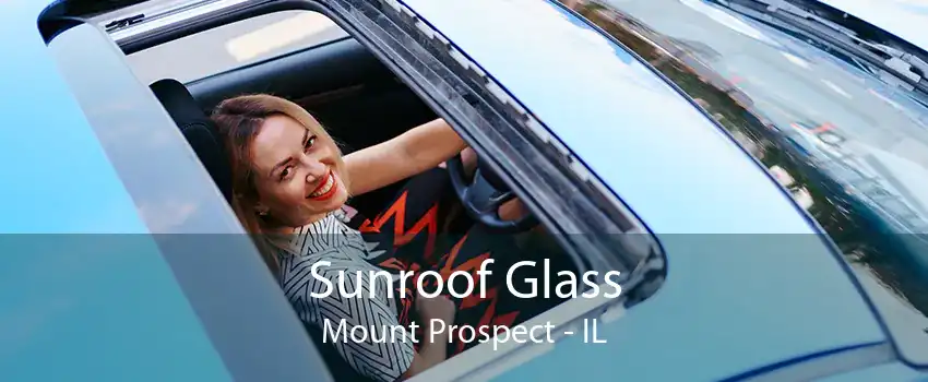 Sunroof Glass Mount Prospect - IL