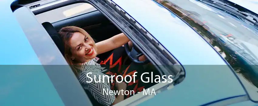 Sunroof Glass Newton - MA
