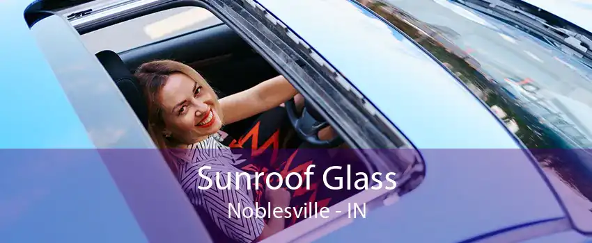 Sunroof Glass Noblesville - IN