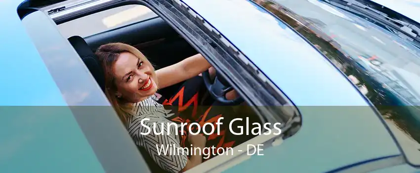 Sunroof Glass Wilmington - DE