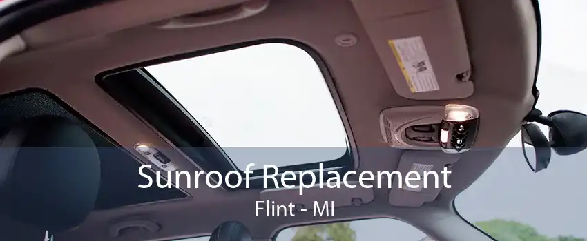 Sunroof Replacement Flint - MI