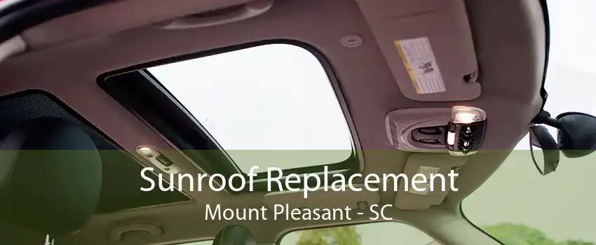 Sunroof Replacement Mount Pleasant - SC