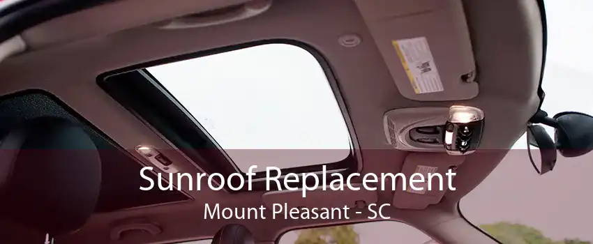 Sunroof Replacement Mount Pleasant - SC