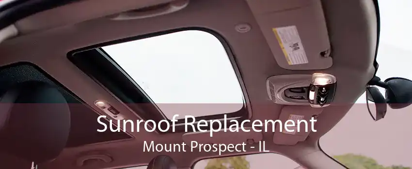 Sunroof Replacement Mount Prospect - IL