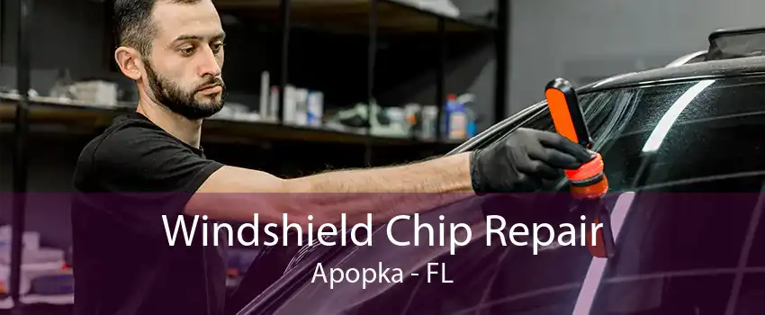 Windshield Chip Repair Apopka - FL