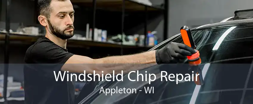 Windshield Chip Repair Appleton - WI