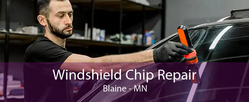 Windshield Chip Repair Blaine - MN