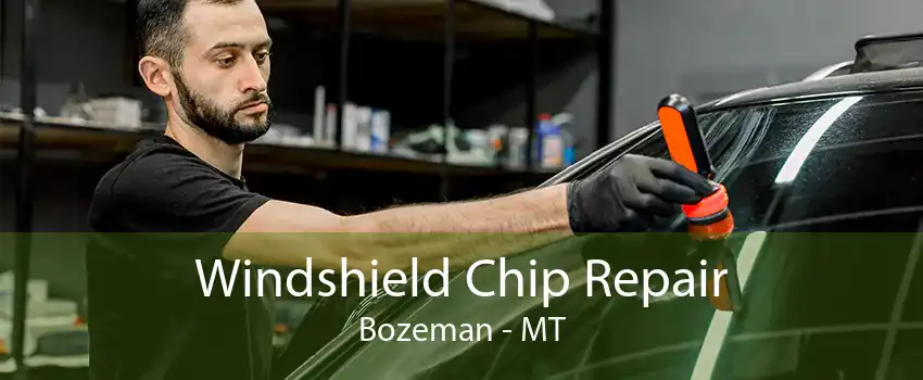 Windshield Chip Repair Bozeman - MT