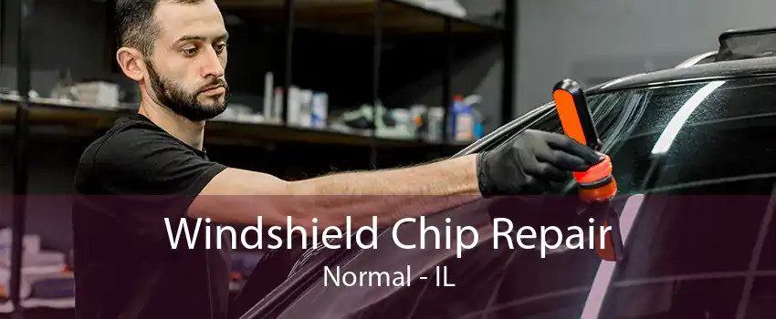 Windshield Chip Repair Normal - IL