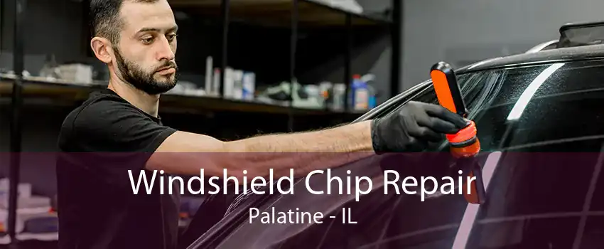 Windshield Chip Repair Palatine - IL