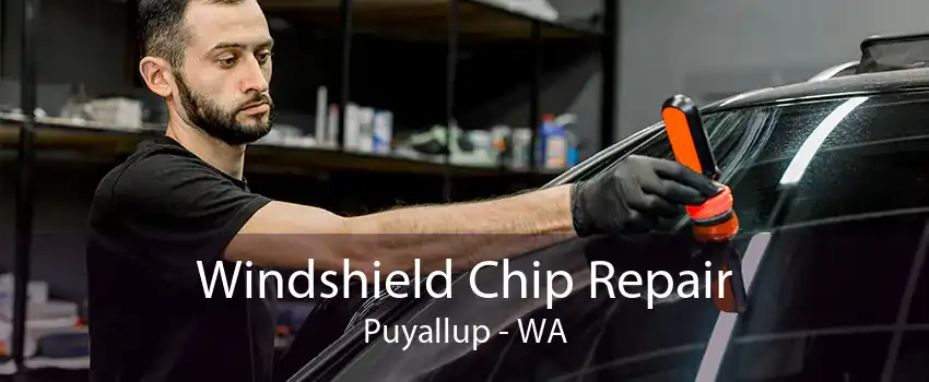 Windshield Chip Repair Puyallup - WA