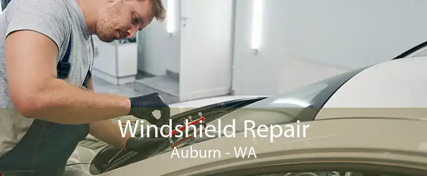 Windshield Repair Auburn - WA