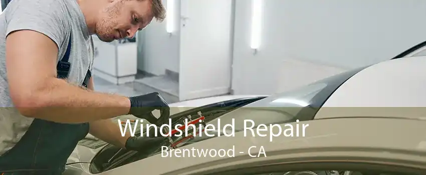 Windshield Repair Brentwood - CA