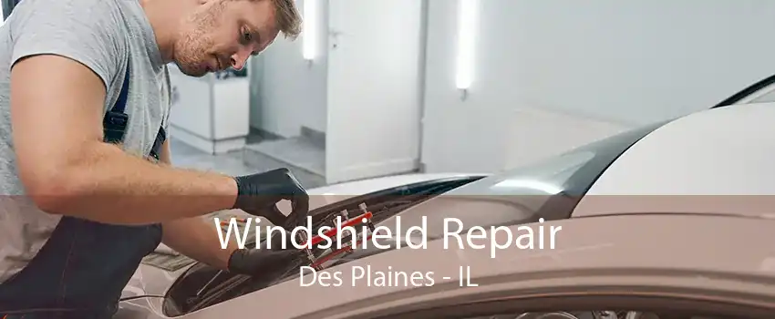 Windshield Repair Des Plaines - IL