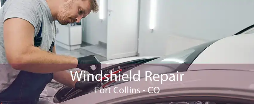 Windshield Repair Fort Collins - CO