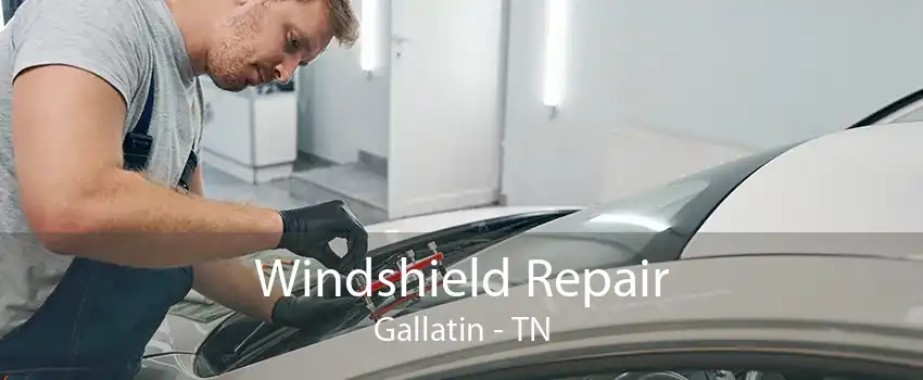 Windshield Repair Gallatin - TN