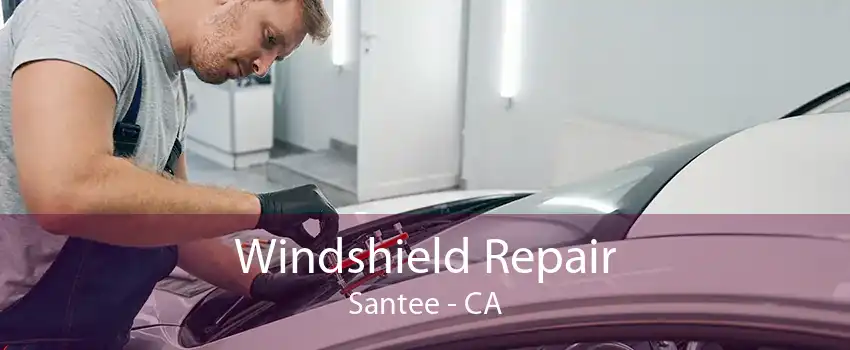 Windshield Repair Santee - CA