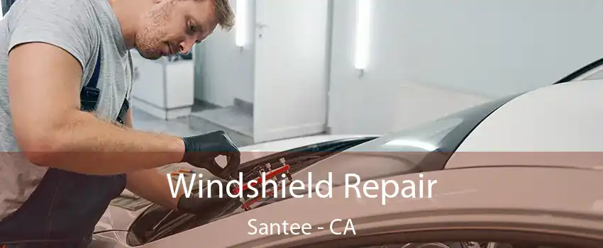 Windshield Repair Santee - CA