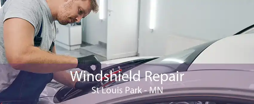 Windshield Repair St Louis Park - MN