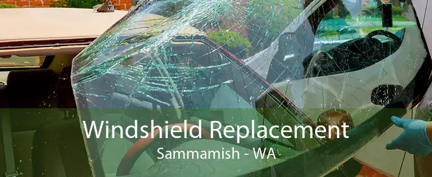 Windshield Replacement Sammamish - WA