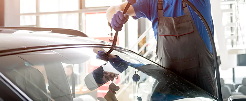 advanced auto glass shaping for safety and design